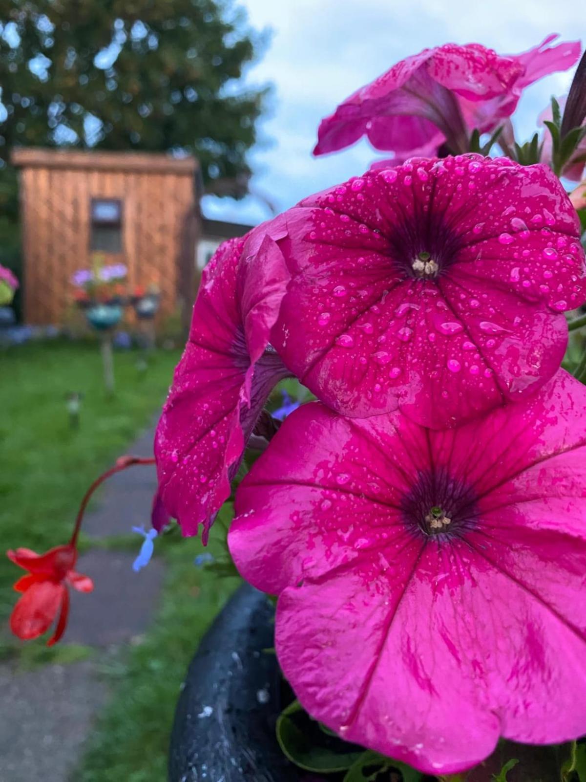 Birds And The Bees Summer House Endon Luaran gambar
